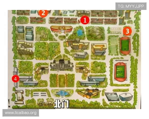 亚洲必赢988官方网站最新优惠活动及注册流程全方位指南