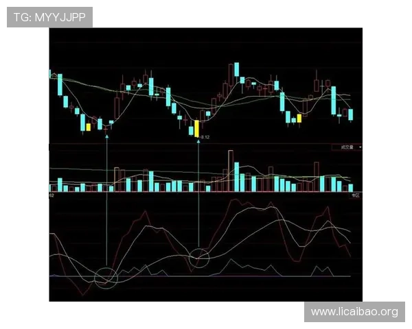 必赢亚娱乐平台最新优惠活动全面解析助你轻松赢取丰厚奖励